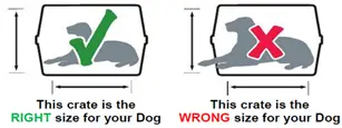 Dog inside right and wrong size kennel while lying down.