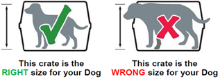 Dog in right and wrong size kennel standing
