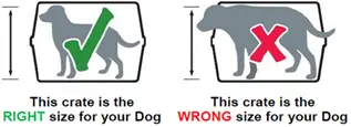 Dog in right and wrong size kennel standing